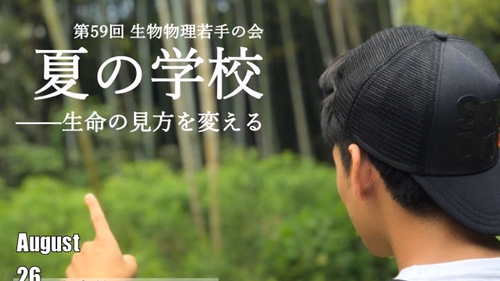 2019年