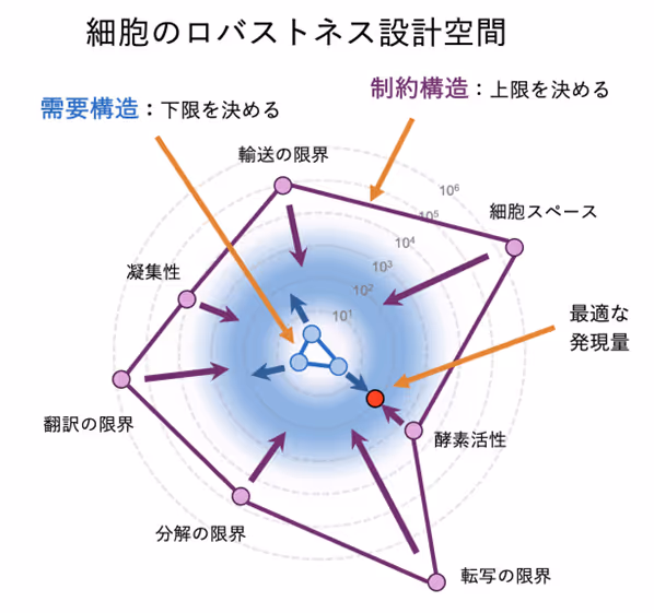 本講演の概要図