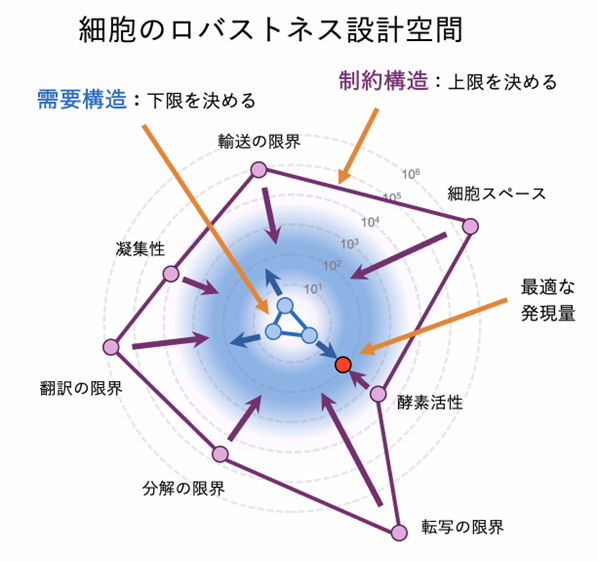 本講演の概要図